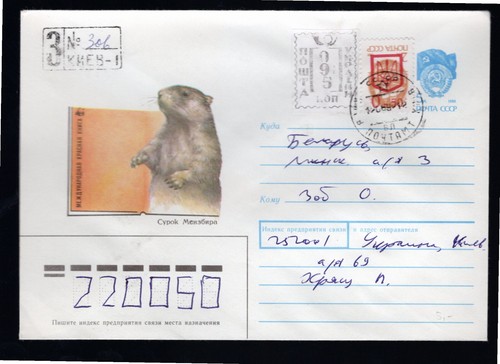 Ucraina 1993 ufficiale locale - ucraina,
